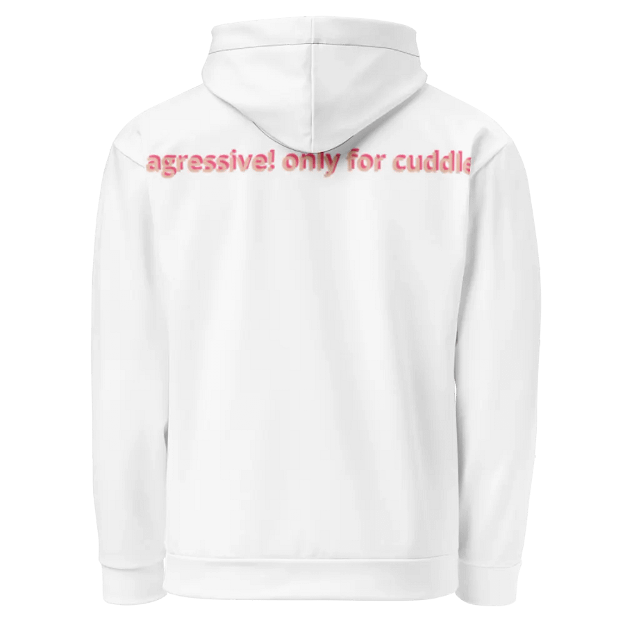 jade hoodie product image (3)