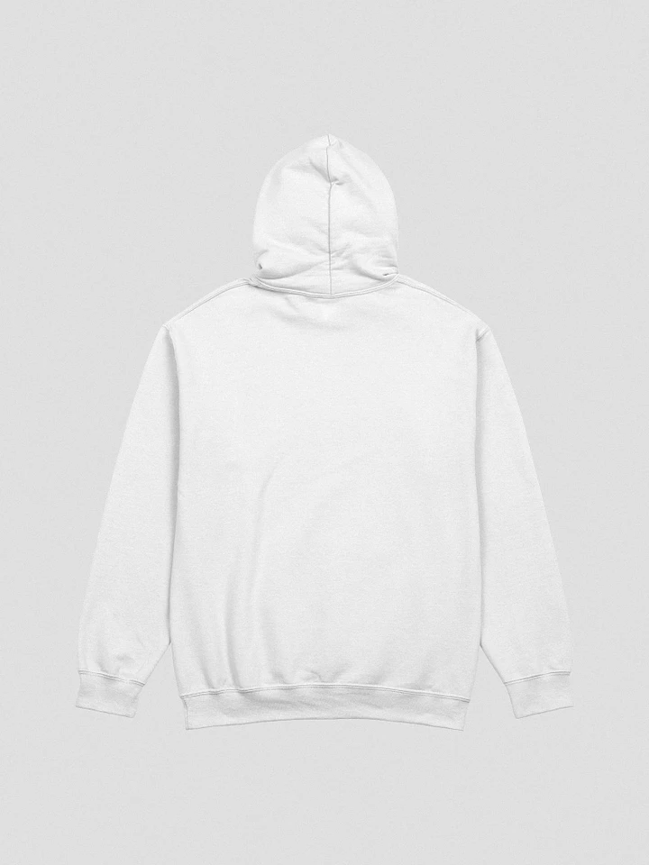 OG SW Hoodie product image (17)