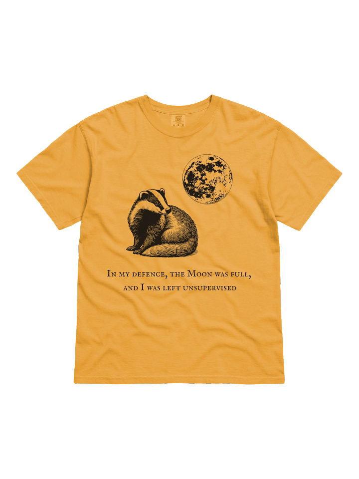 In my defence, the Moon was full... product image (1)