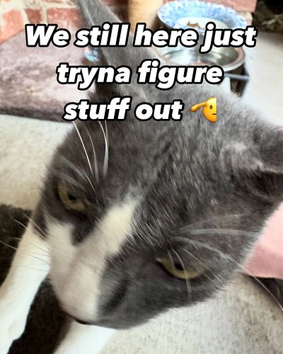Looking into tik tok shop and instagram shop integration…
.
We may have cooked on our next designs prolly gonna drop in the n...