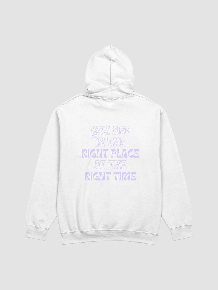 222 hoodie product image (3)