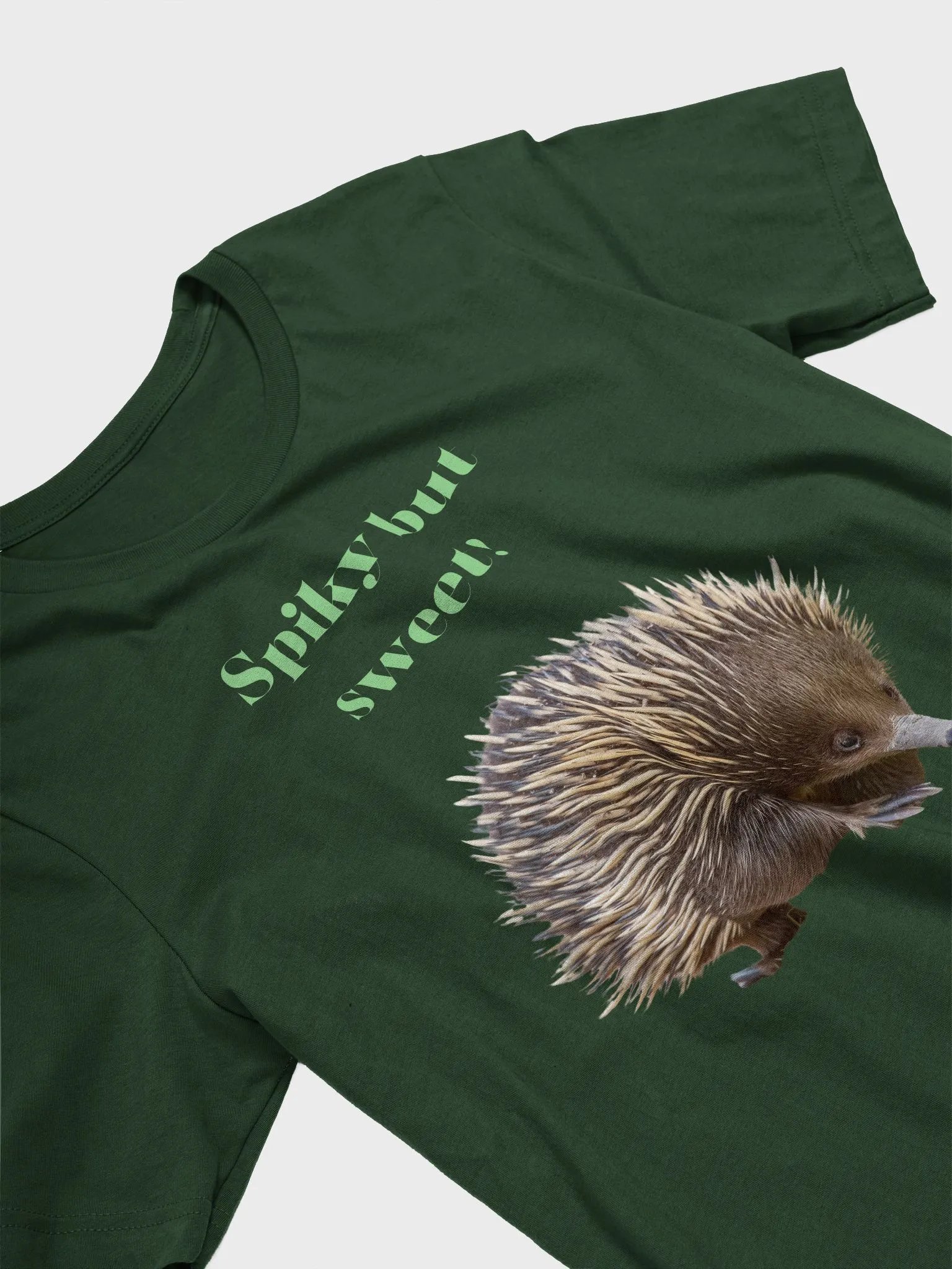 Spiky but Sweet Echidna T-Shirt product image (2)