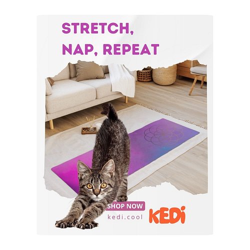 Unique Gifts for Cat Lovers & Yoga Practitioners

Searching for meaningful gifts that inspire calm and creativity? Explore ou...