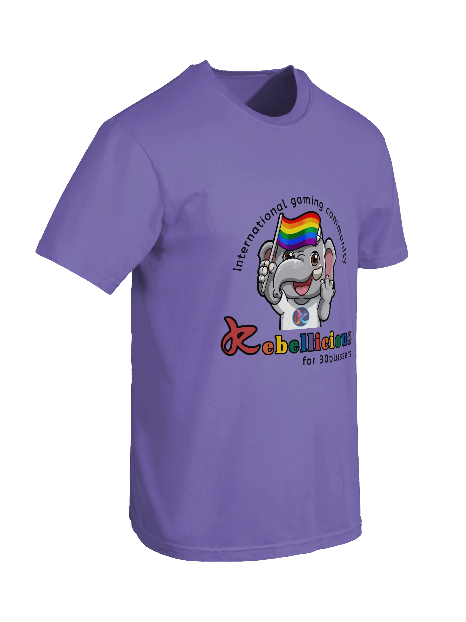 Comfort Colors Pride T-shirt product image (4)