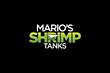 Marios Shrimp Tanks