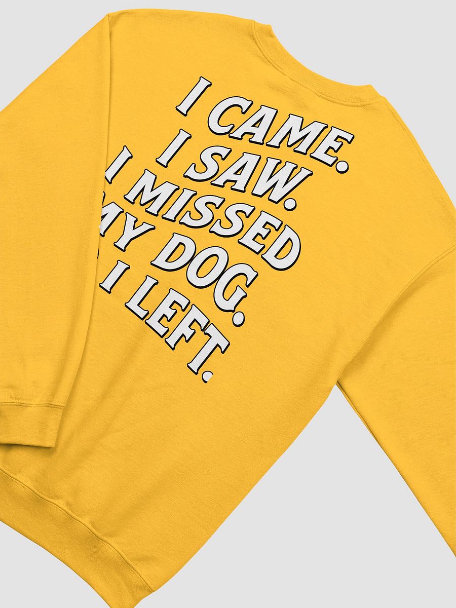 I Came, I Saw, I Missed My Dog, So I Left | Funny Introverted Sweatshirt for Dog Moms product image (16)
