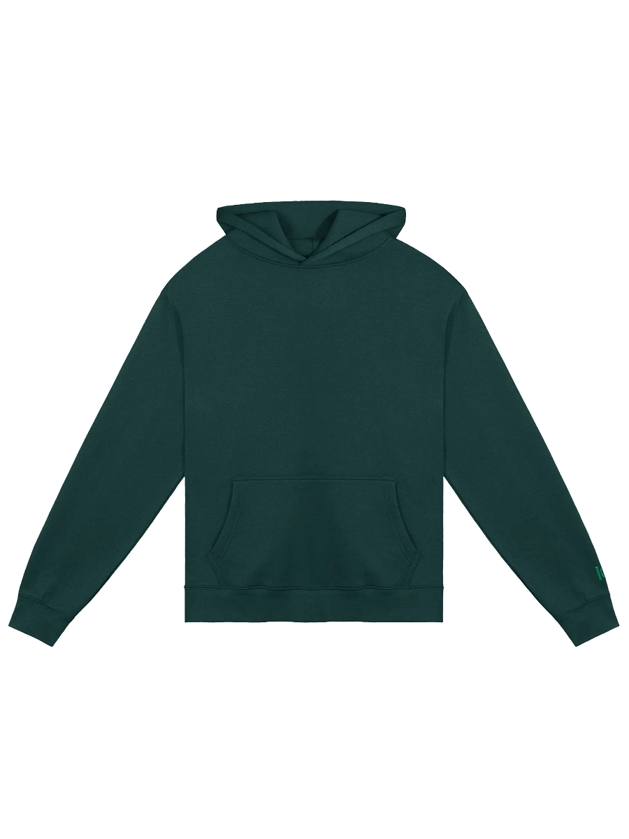 Unisex Premium Oversized Hoodie (Green) product image (1)