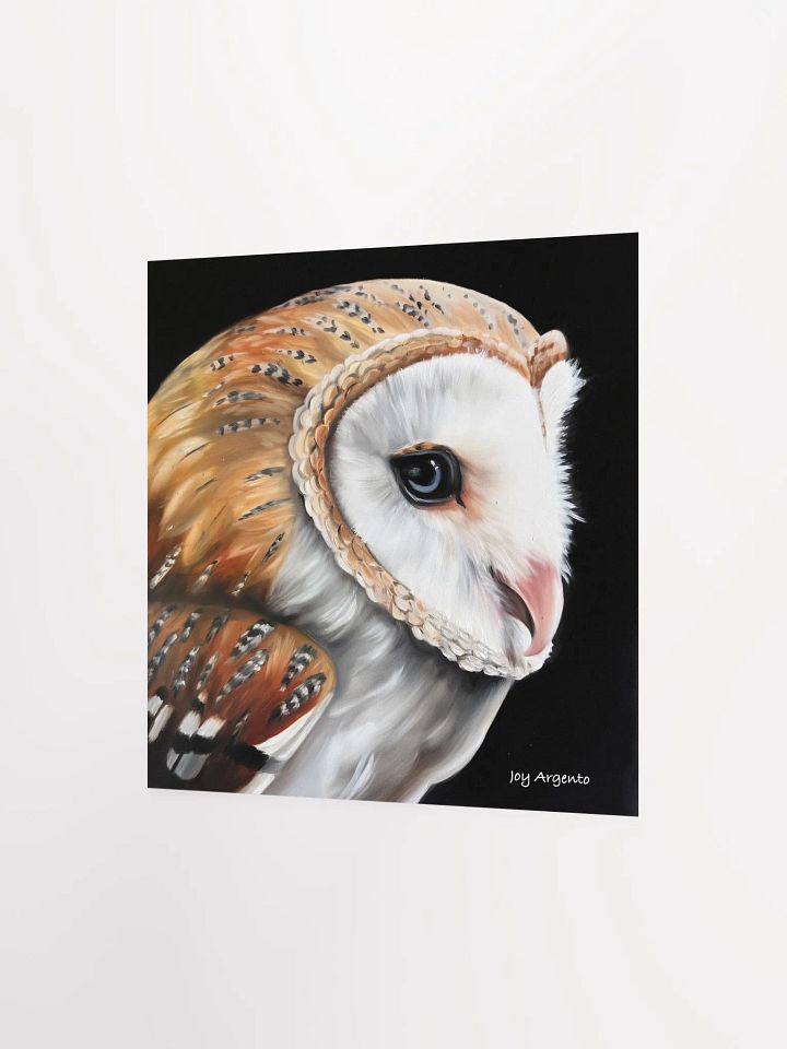 Barn Owl Print product image (2)