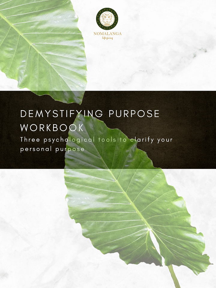 DEMYSTIFYING PURPOSE WORKBOOK product image (1)