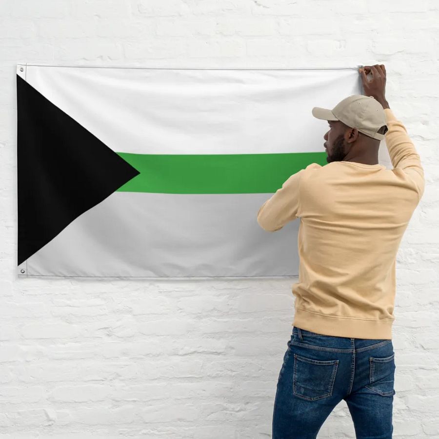 Demiromantic Flag product image (11)