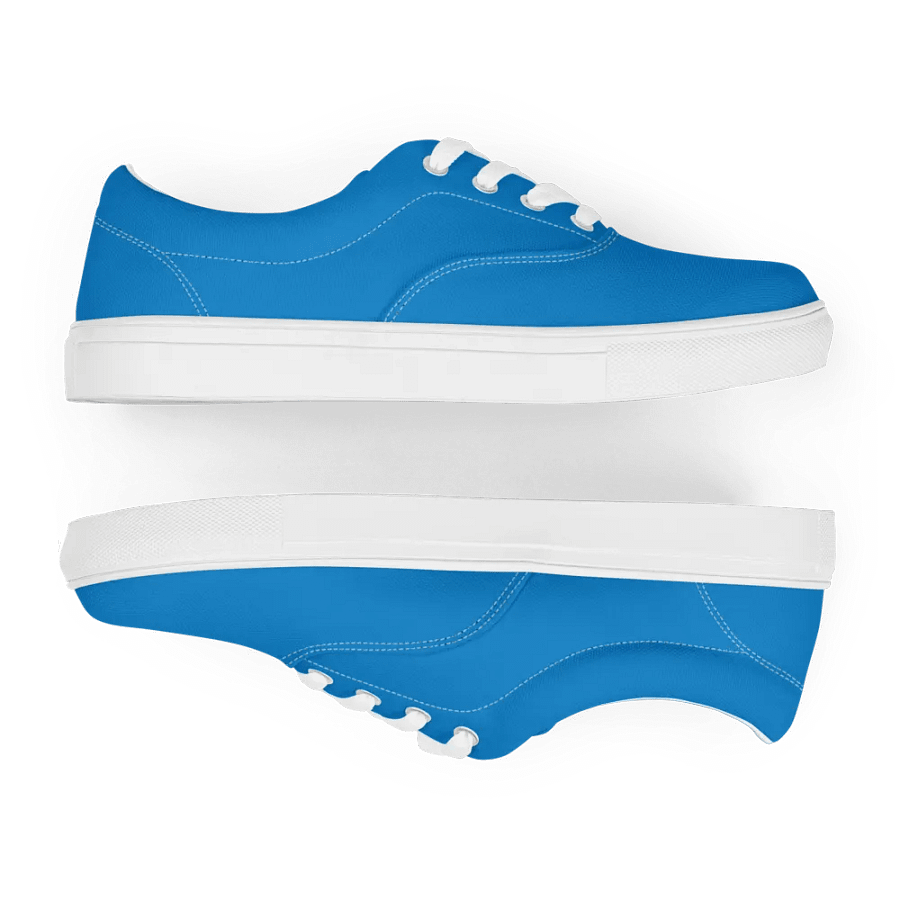 Muse Coquette Lace-Up Canvas Shoes (Blueberry ice cream) product image (7)