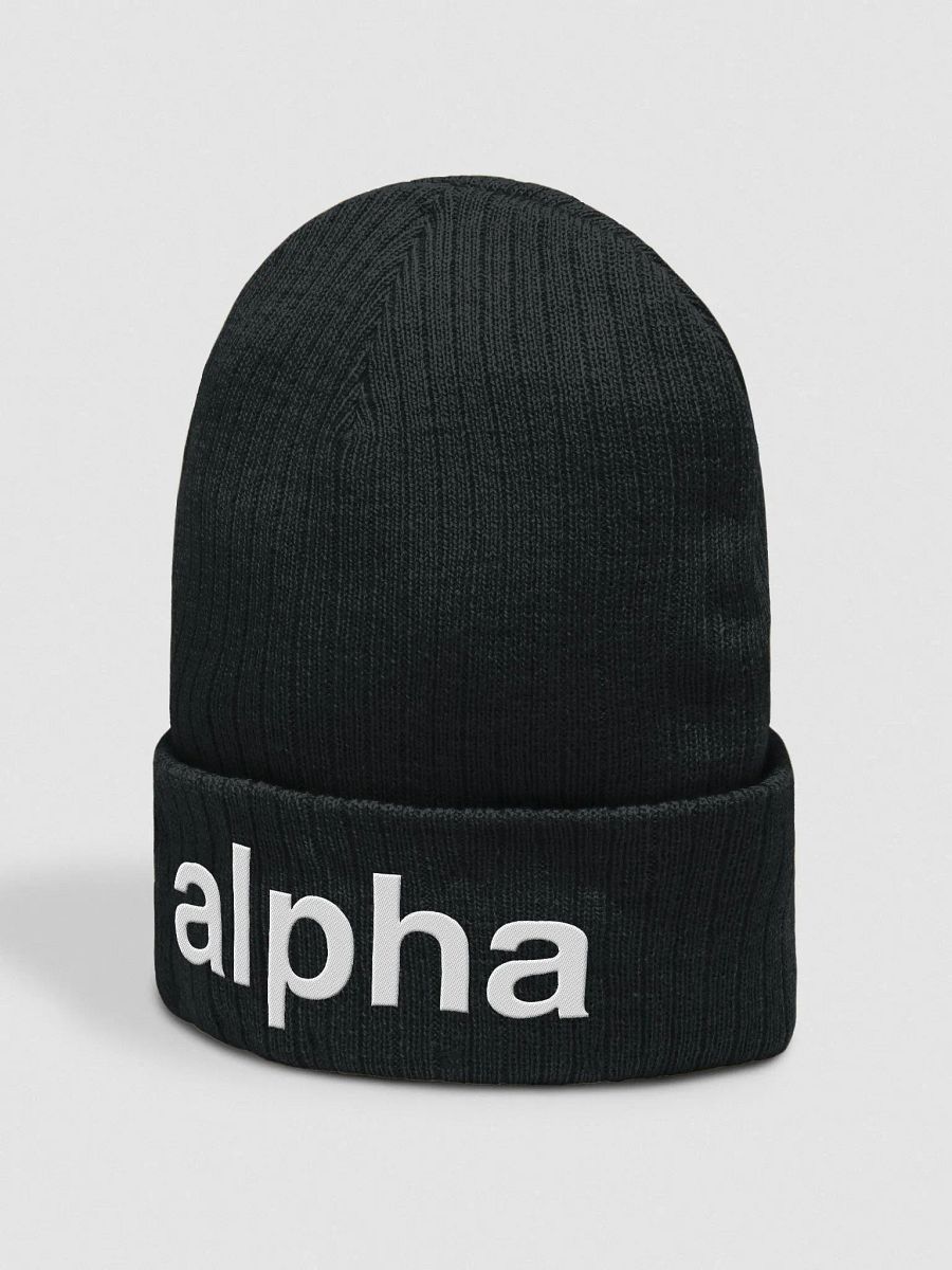 Alpha Beanie product image (2)