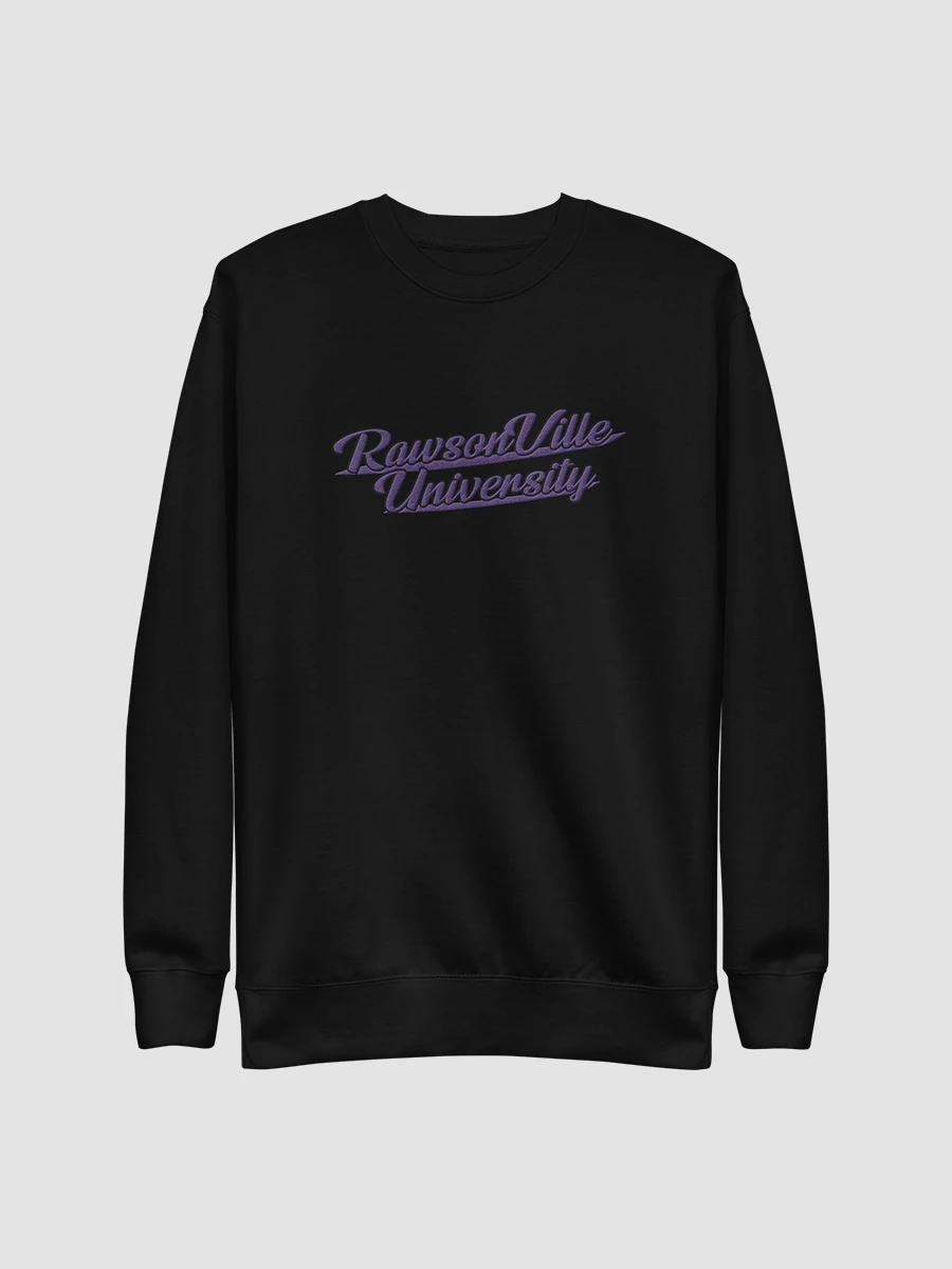 RVU: Embroidered Sweatshirt product image (1)