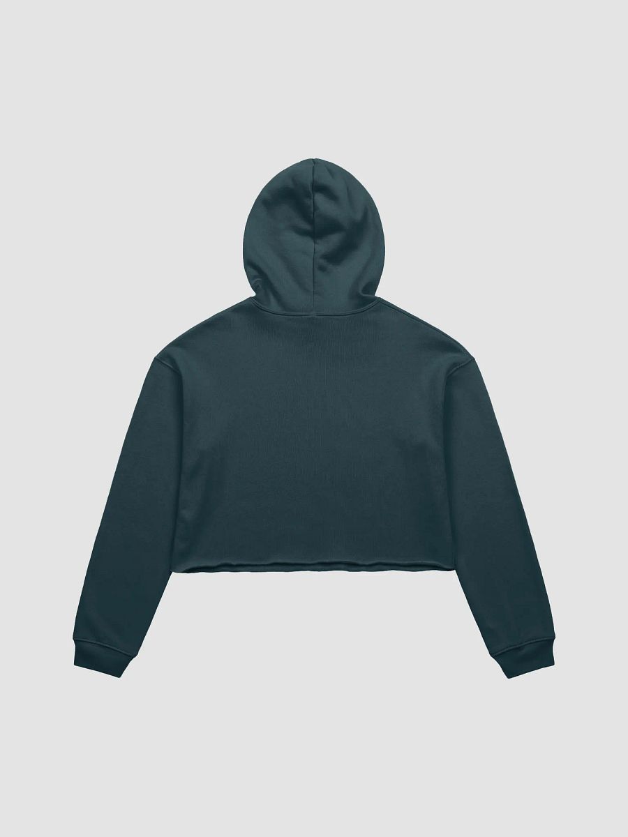Possum Posse Crop Hoodie BLK product image (2)