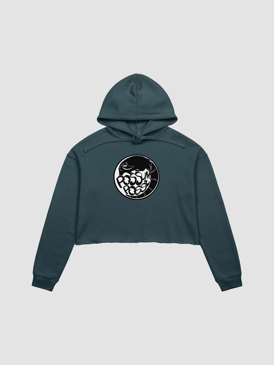 Possum Posse Crop Hoodie BLK product image (1)