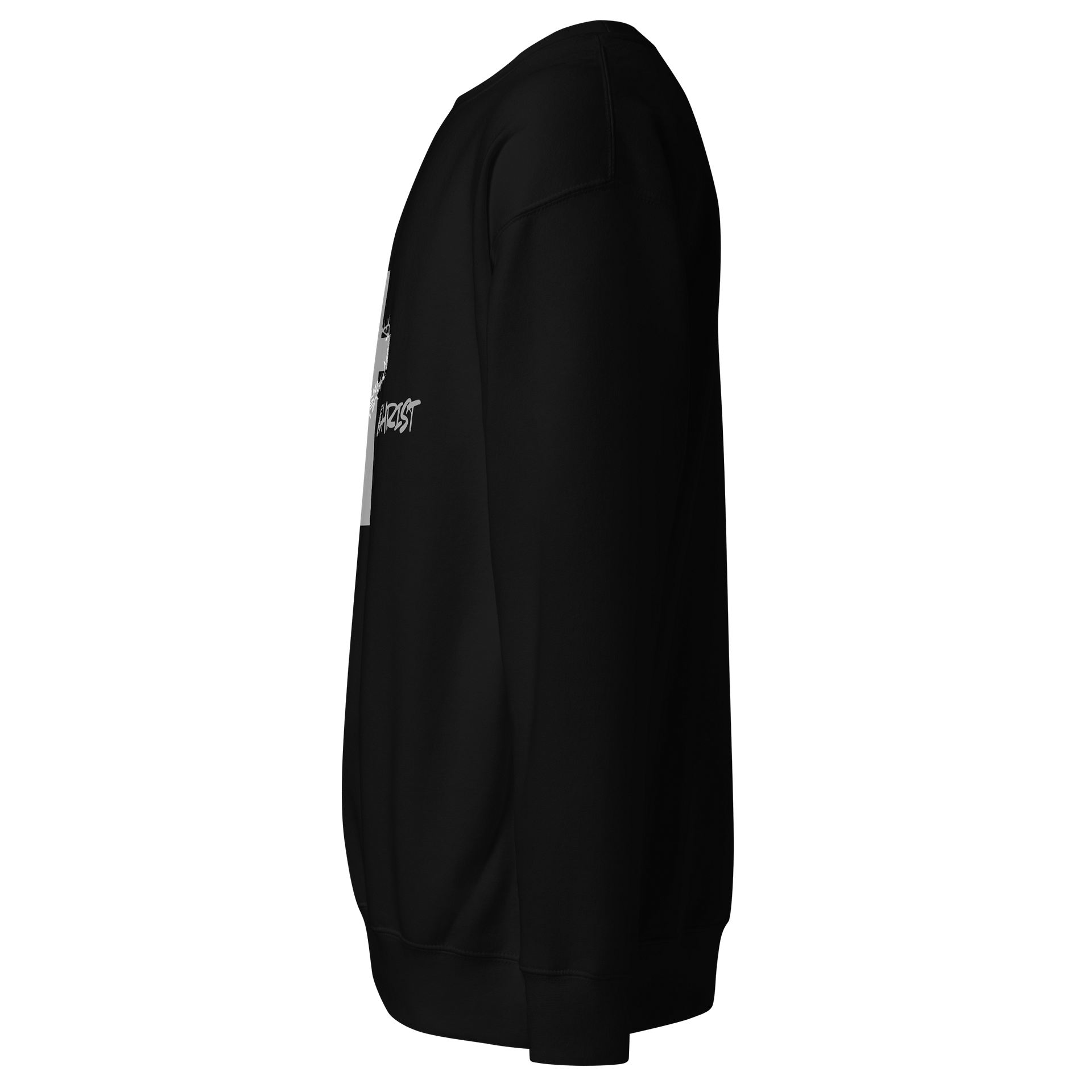 Alive in Christ Sweatshirt product image (2)