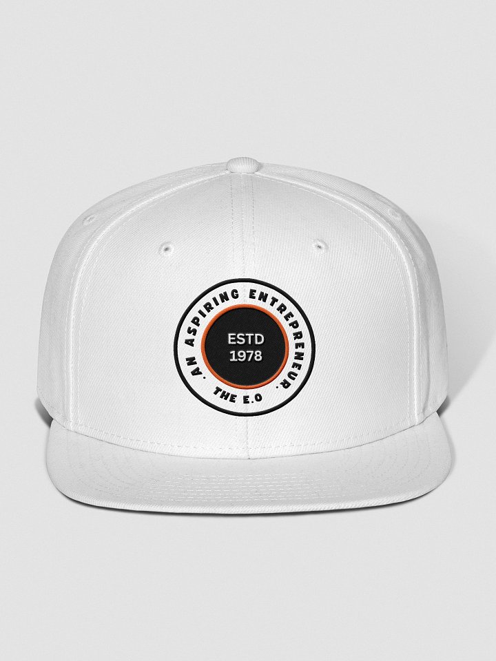 TEO 1978 Snapback product image (17)
