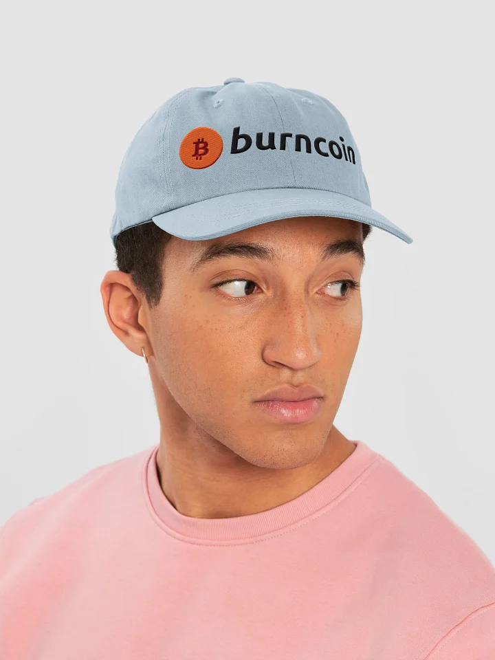 Burncoin Baseball Hat - Light product image (2)