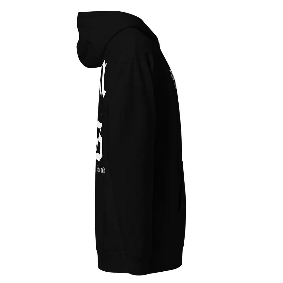 DEM 2s | GOTH HOODIE | FRONT + SLEEVE EMBROIDER product image (4)