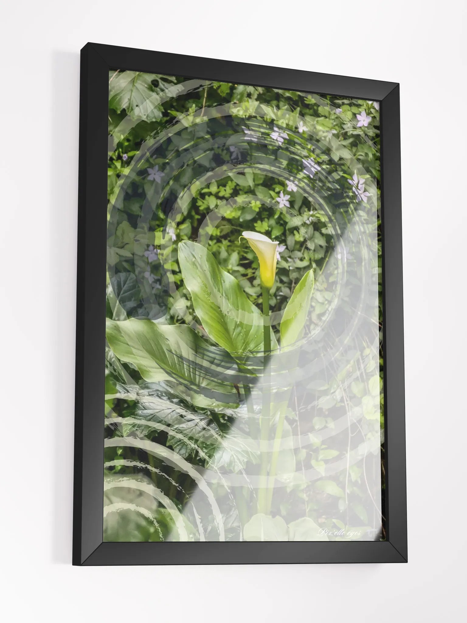 GeoGraphik Art Print – Rayol Canadel – White Arum product image (5)