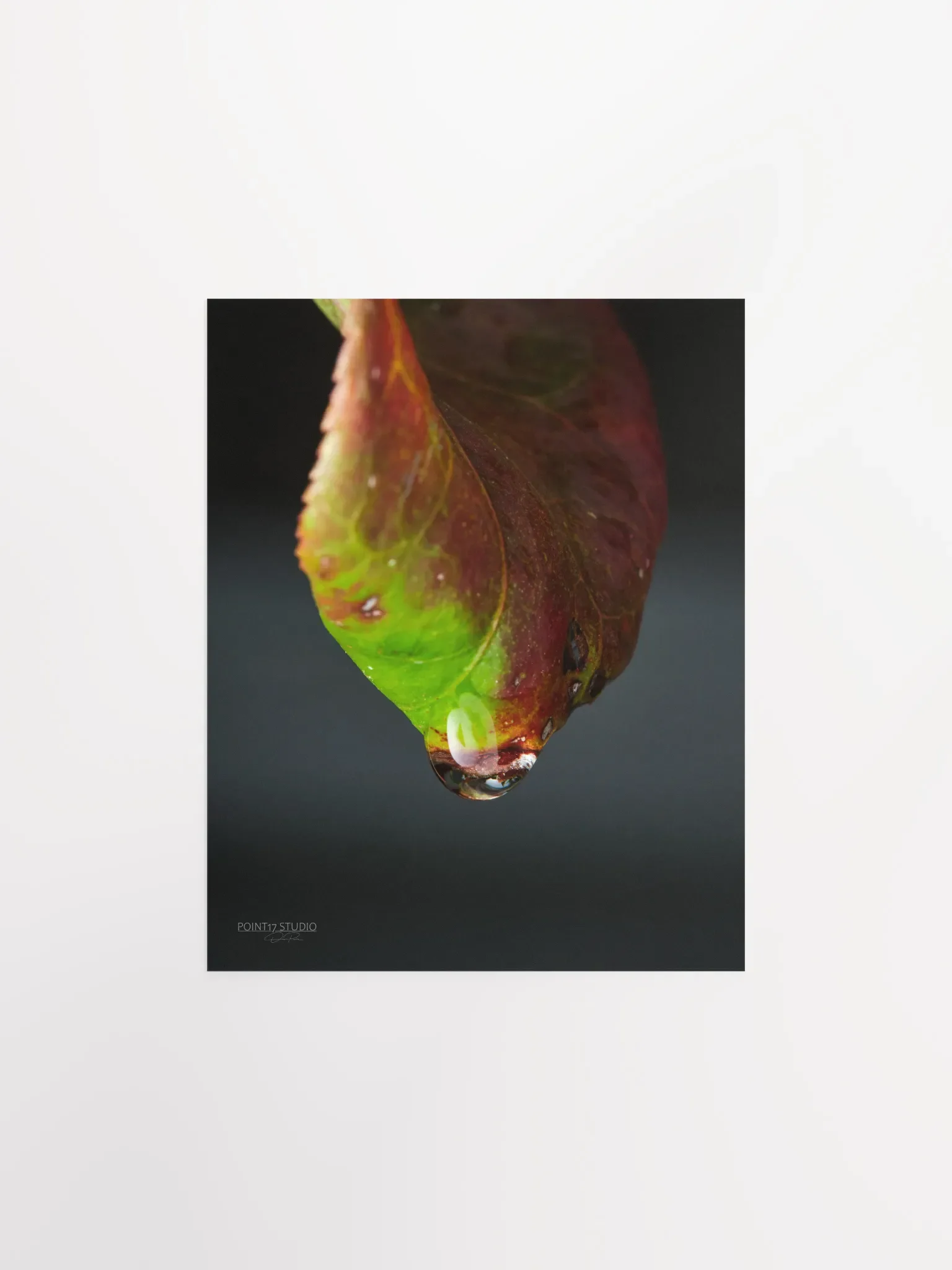 Crystal Drop - Poster product image (1)