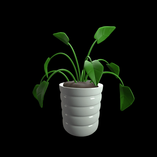 Plant product image (2)