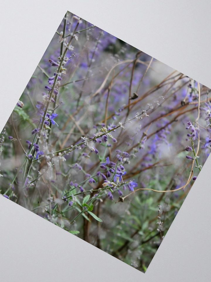 A Study in Flowers 14 - sticker version product image (5)