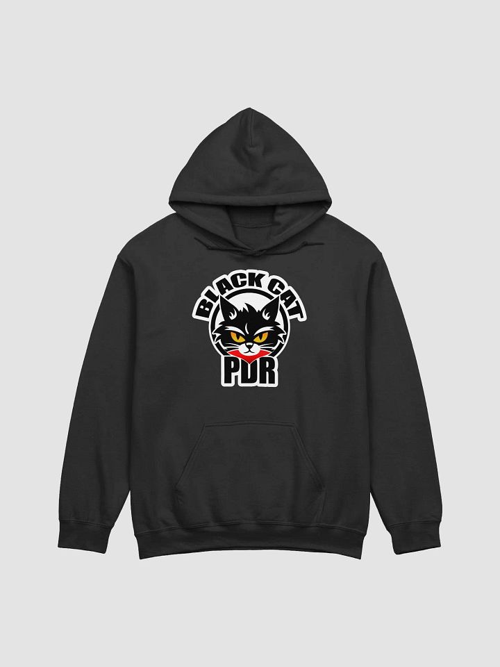 PDR Racing Logo Hoodie product image (6)