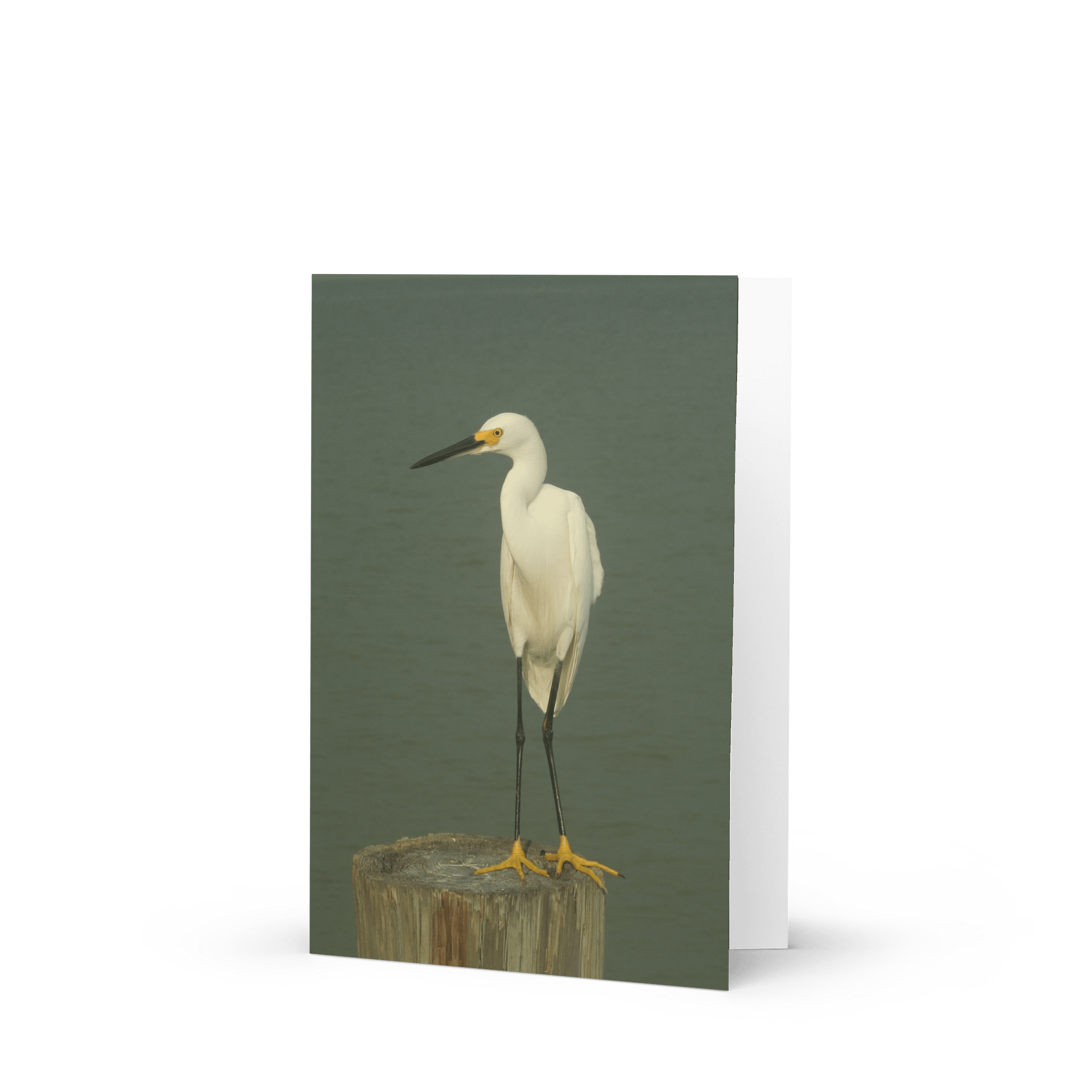 Egret Elegance Greeting Card product image (1)