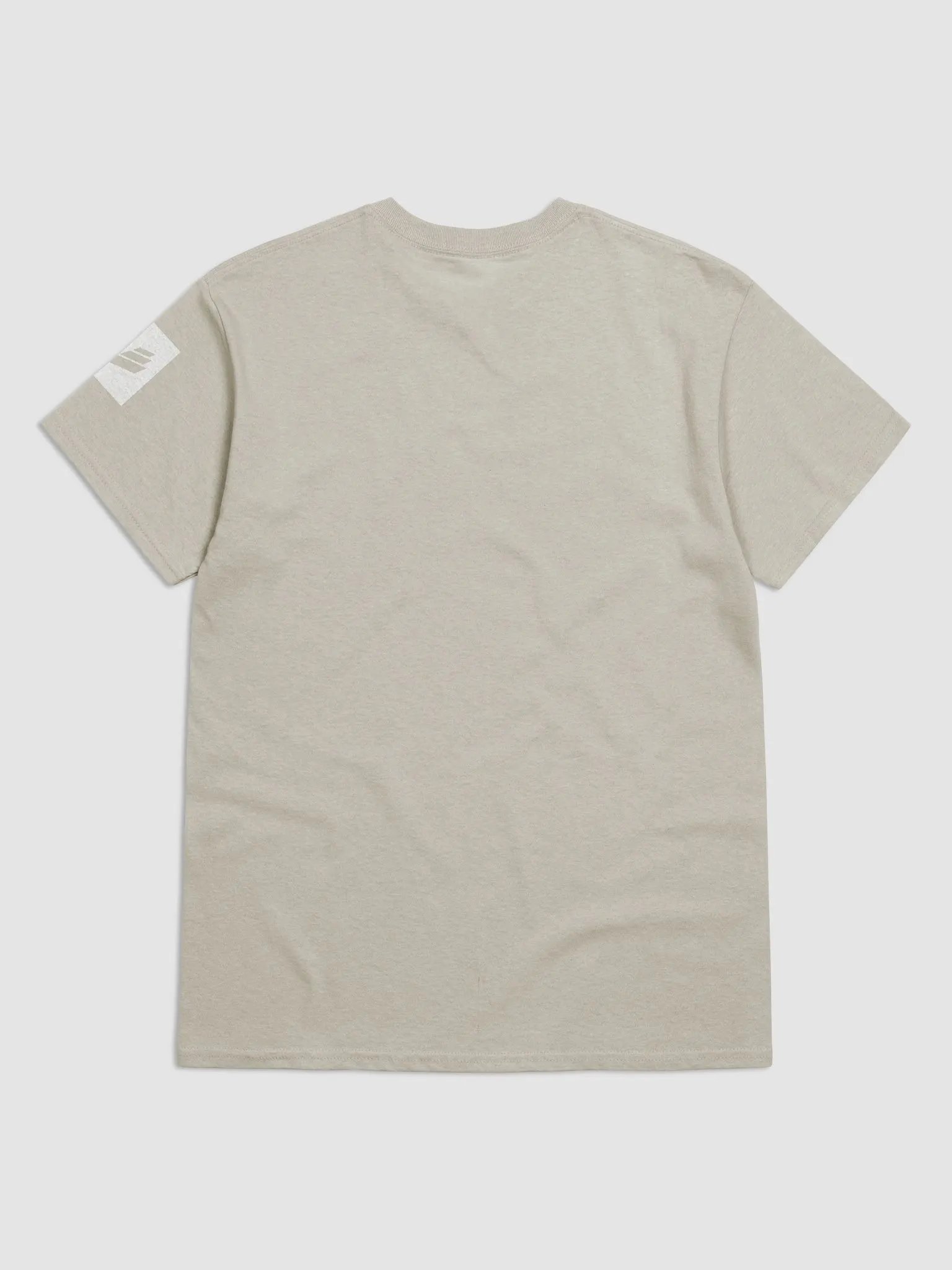 International Movement Tee - Stone product image (2)