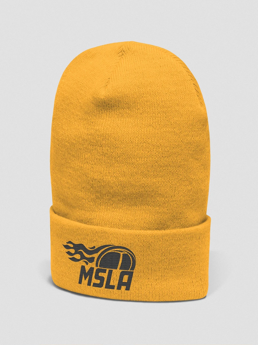 MSLA - The MSLA Centennial Beanie product image (2)