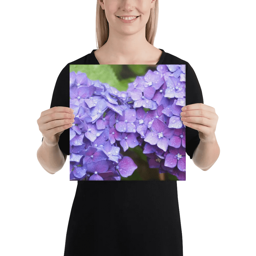 Hydrangeas product image (2)