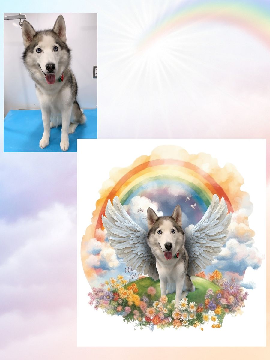 Rainbow Bridge Pet Memorial Art product image (6)