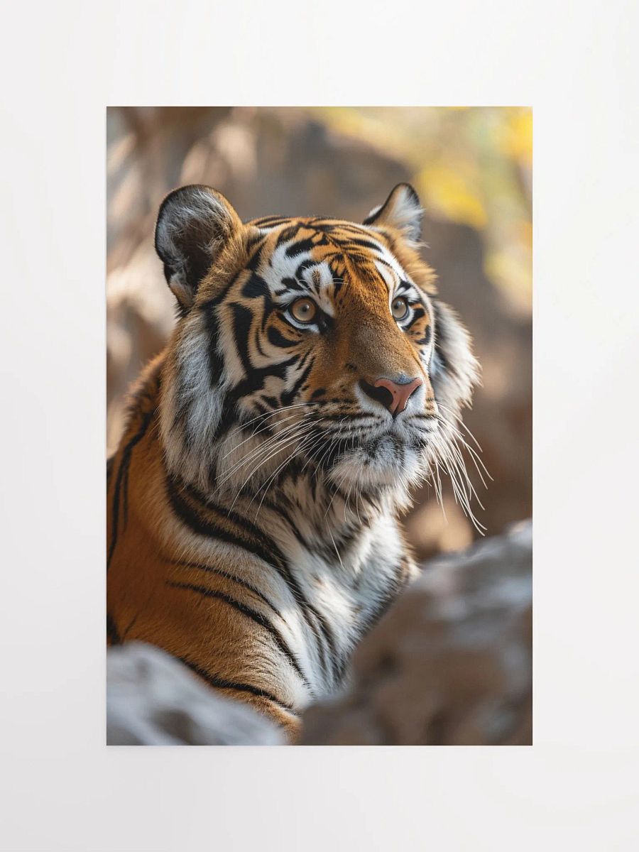 Tiger Solitude: A Portrait of Majestic Calm product image (10)