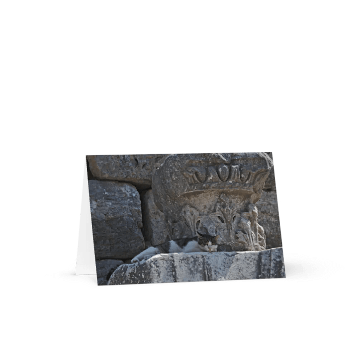 Sleeping Cat Card product image (1)