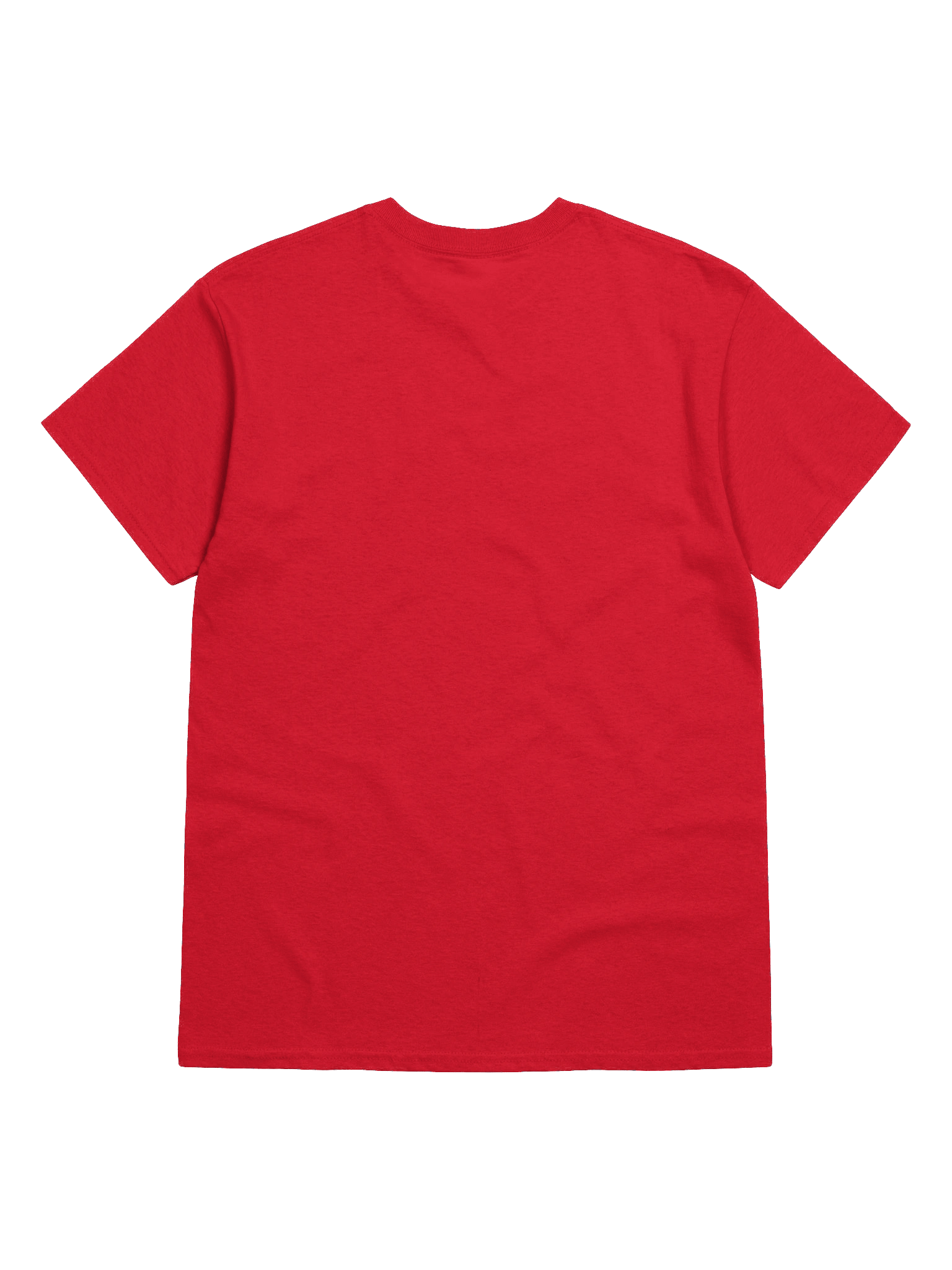 Rounding Third and Heading for Home T-Shirt product image (23)