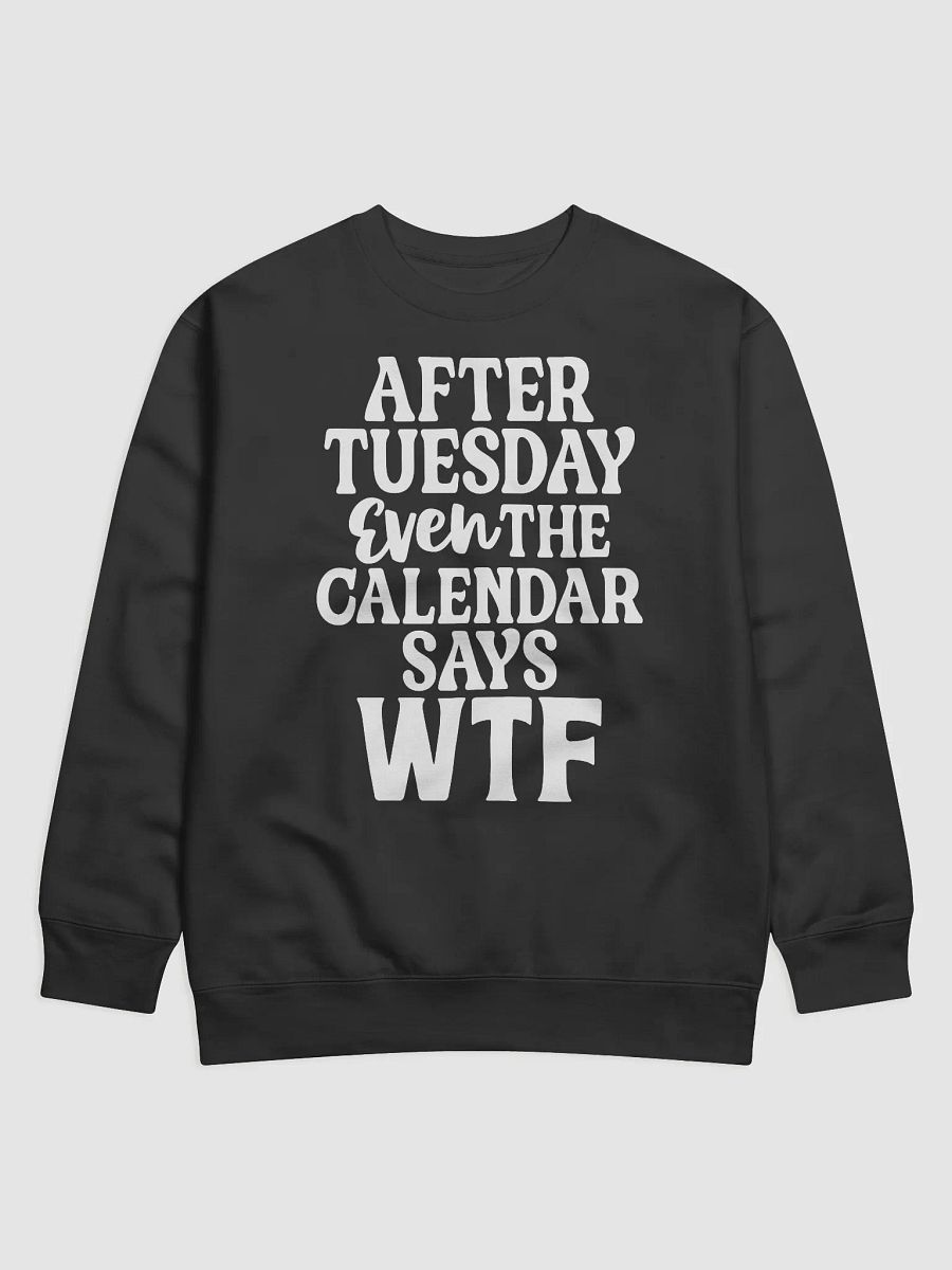 Even The Calendar Says WTF Hoodie product image (1)