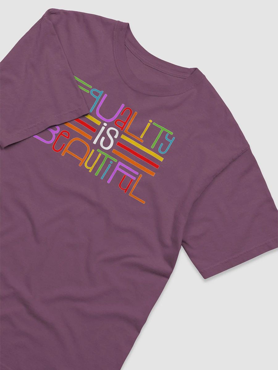 Equality is Beautiful product image (16)