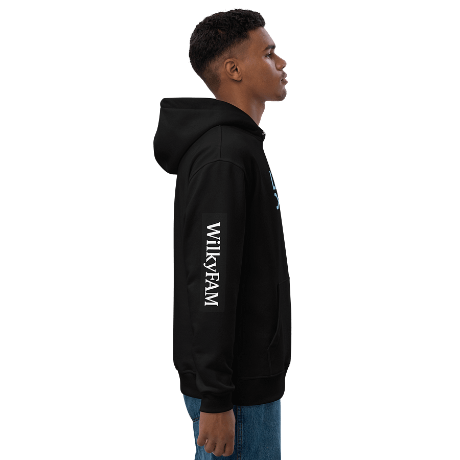 WilkyFAM/ StreamLINK "Linked Up" Hoodie product image (7)