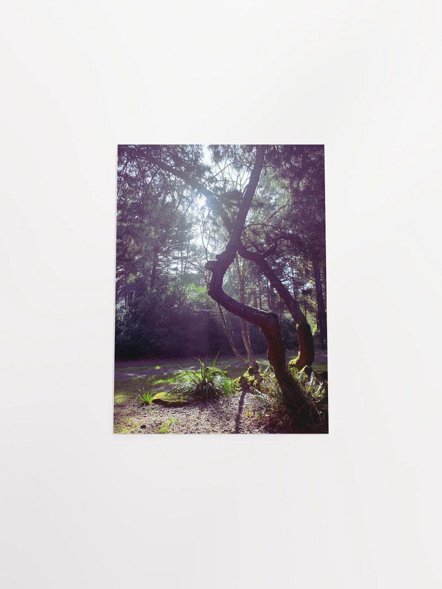 Soulmates product image (42)