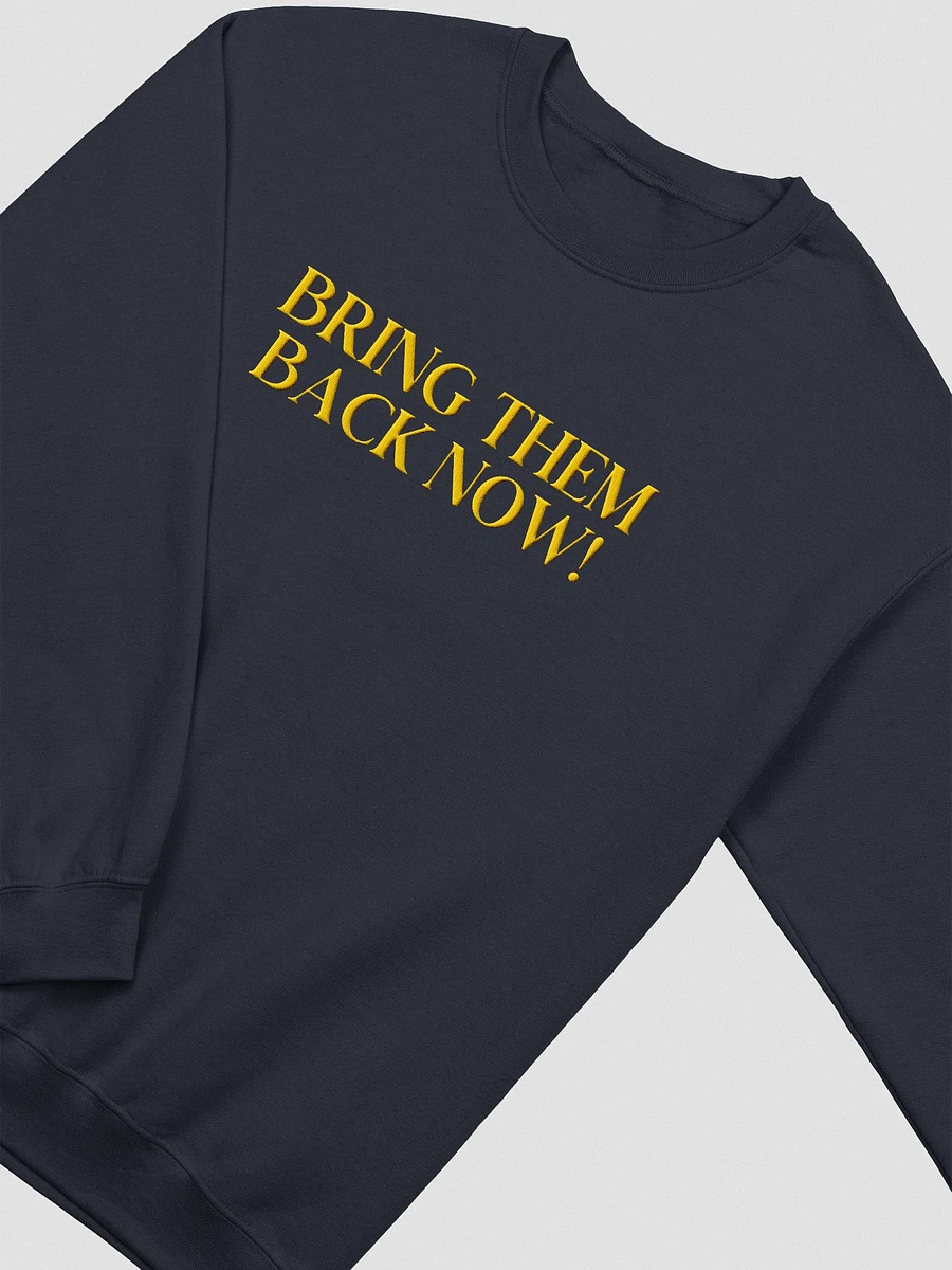 Bring them BACK NOW Sweatshirt product image (12)