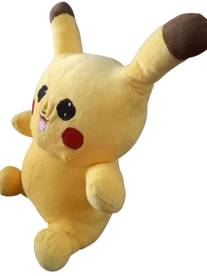POKEMAN product image (2)
