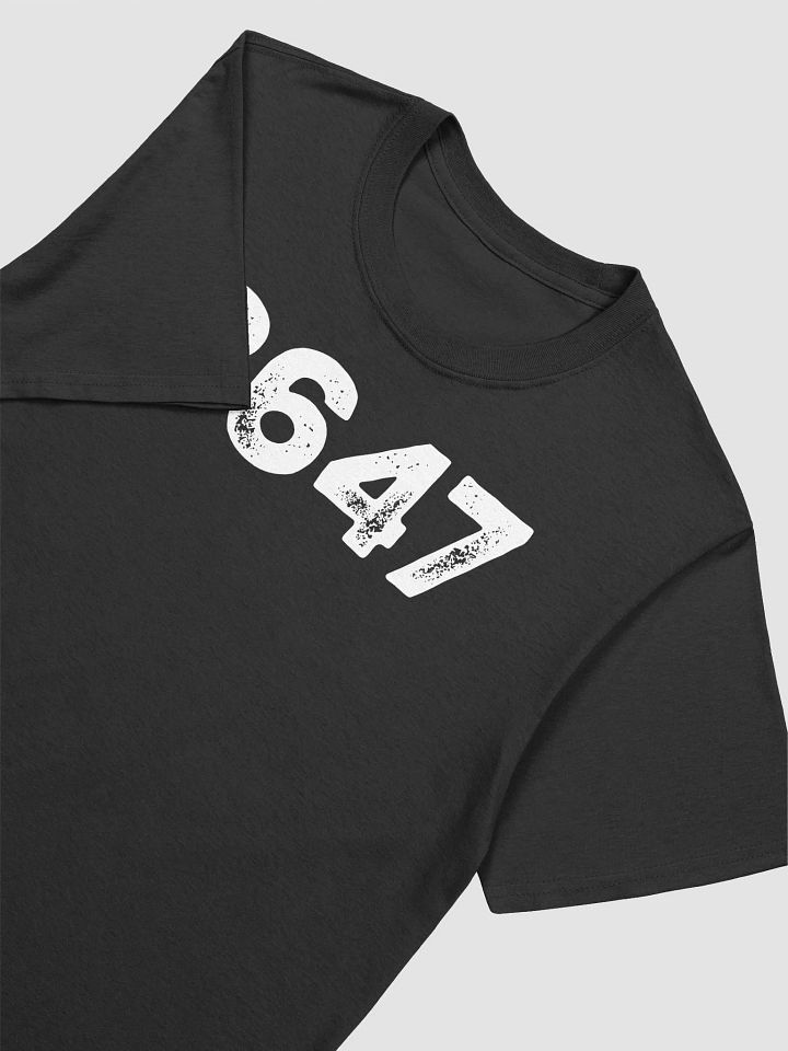 8647 T-shirt product image (2)