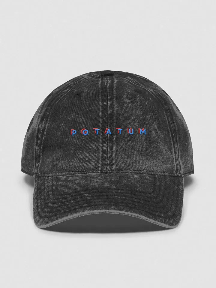 POTATUM 3D vintage wash dad hat product image (2)