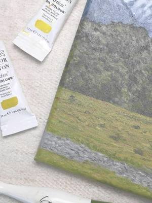 ⛰️ 🌱   Capturing the serene meadow beneath the grand Mountain Cook. #art #artwork #artist #painting #oilpainting #landscape #nature #mountain #cook #newzealand #hike #adventure #travel #traveltiktok #summer #blue #green #sky #happy #love #singapore#reel #reels #video #videos
