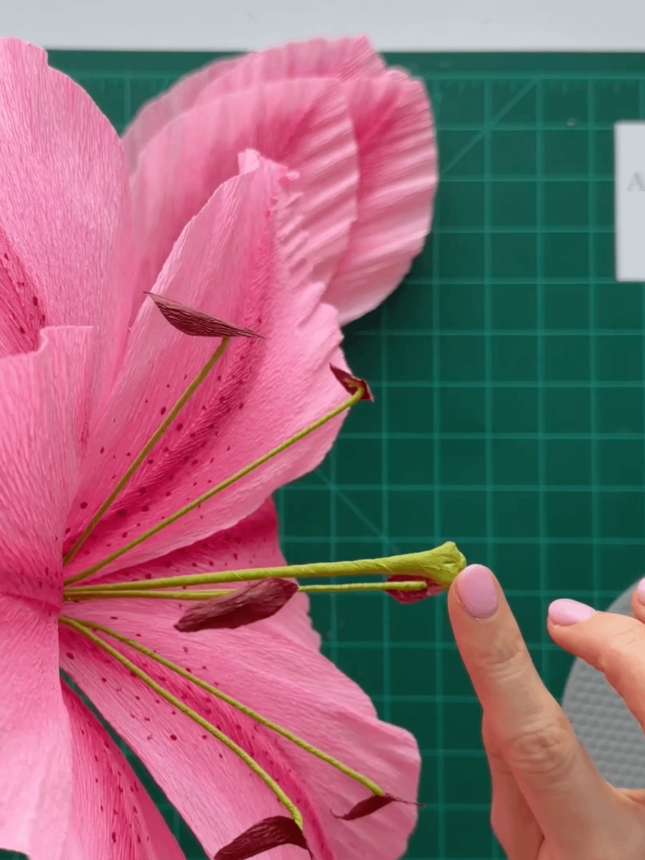 DIY Giant Crepe Paper Lily Flower: 3 sizes Templates from Video Tutorial + Materials Checklist product image (7)