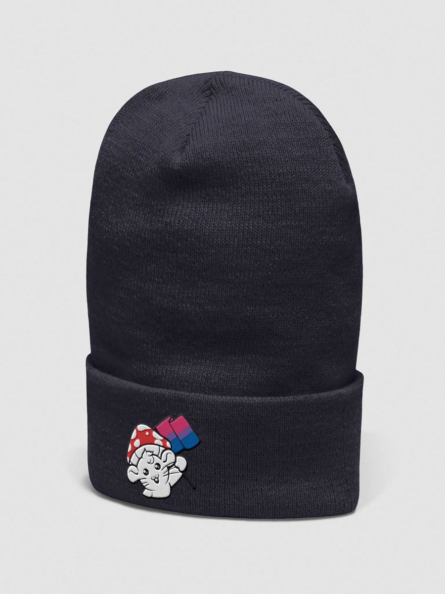 Bisexual beanie product image (3)