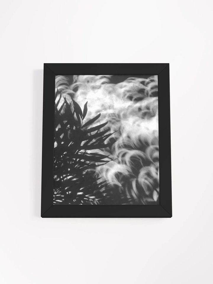 Crescents of Light from the Eclipse - Print 1 - Framed Poster product image (1)