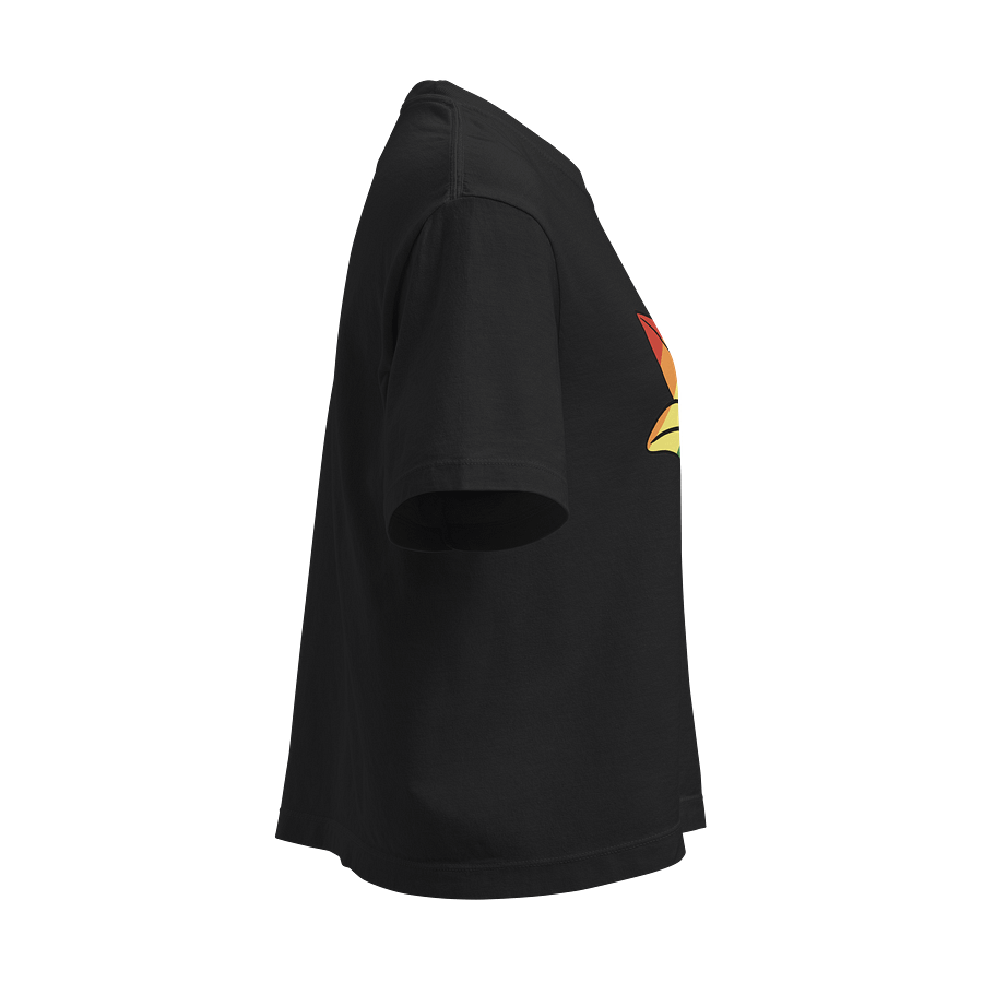 Pride Box Tee product image (4)