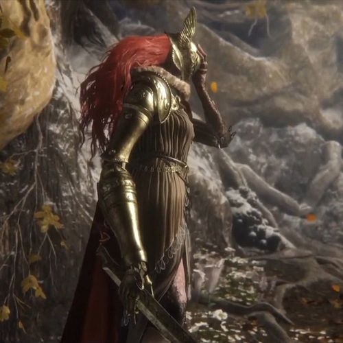 The first time you come face to face with Malenia in #eldenring is special isn't it?

#games #videogames #souls #soulsborne #...